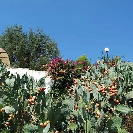 Madonna Incoronata Farm stay *