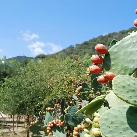 Farm stay Madonna Incoronata